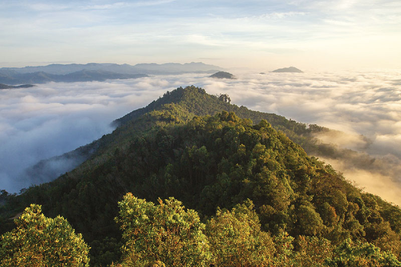 GUNUNG SILIPAT, YALA