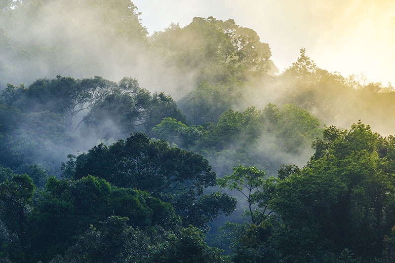 Khao Yai National Park