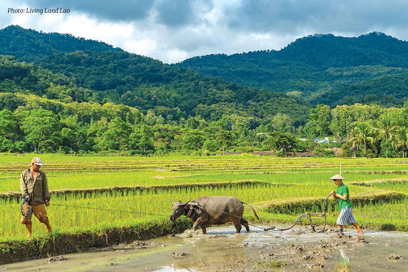 Living Land Lao, Luang Prabang