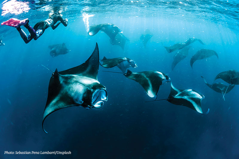 Aquatic Adventures Maldives