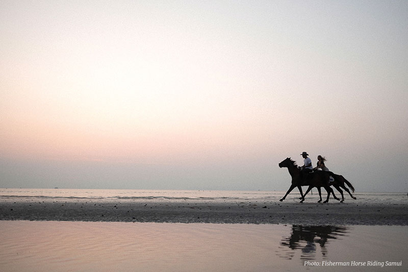 Fisherman Horse Riding Samui