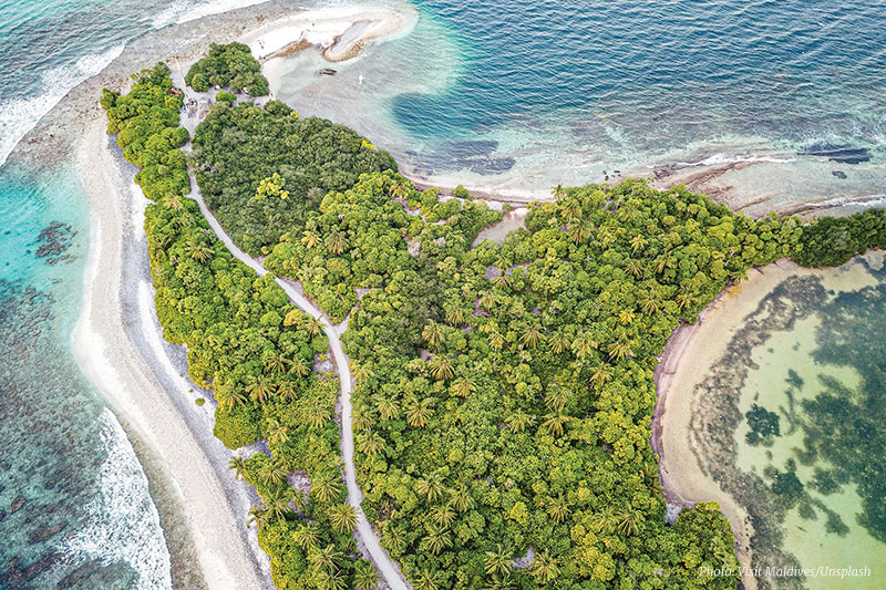 Wetland Wonders Maldives