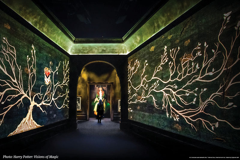 Harry Potter: Visions of Magic Singapore