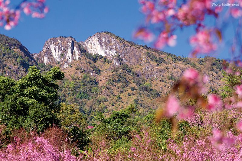 Nang Phaya Suea Khrong, Chiang Mai