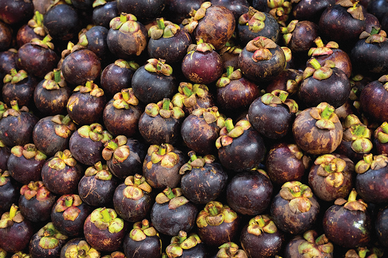 mangosteen