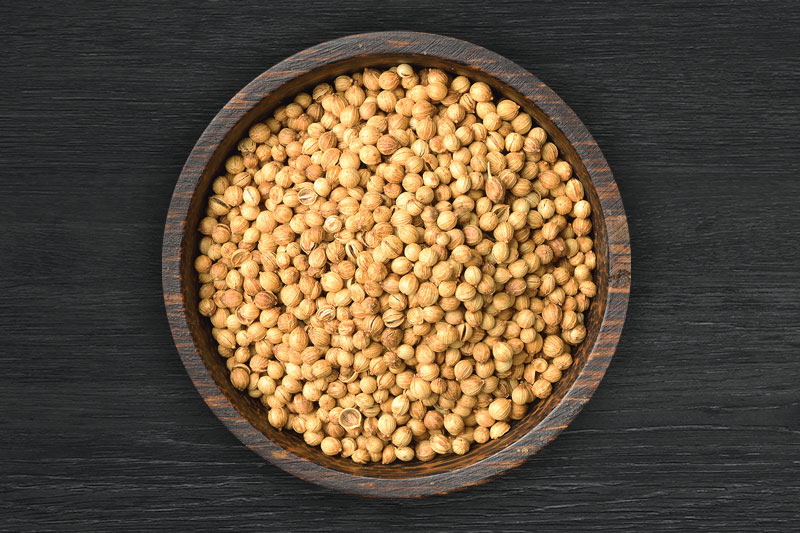 CORIANDER SEEDS CORIANDER SEEDS