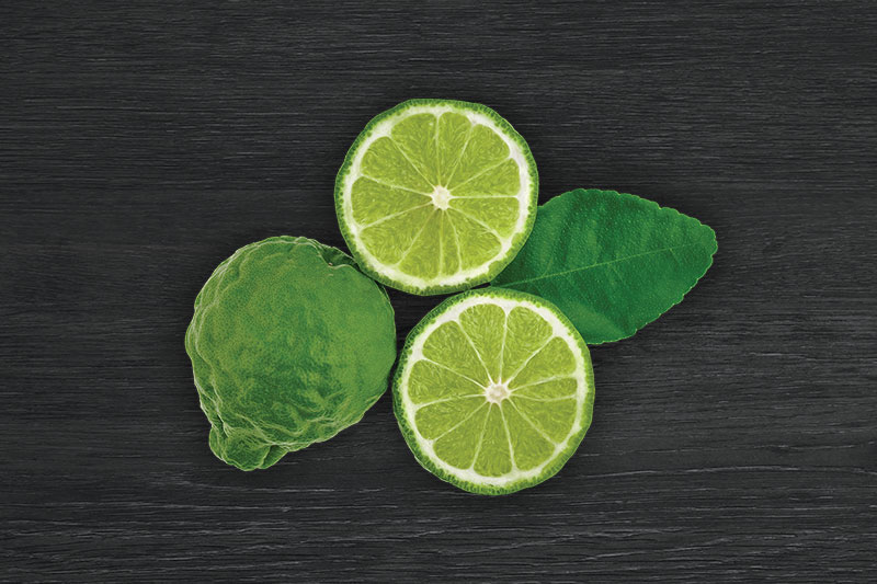 KAFFIR LIME KAFFIR LIME