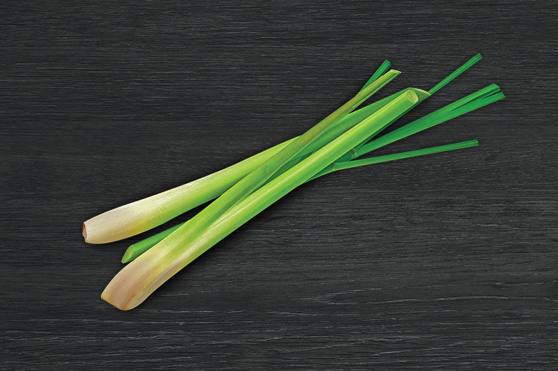LEMONGRASS LEMONGRASS