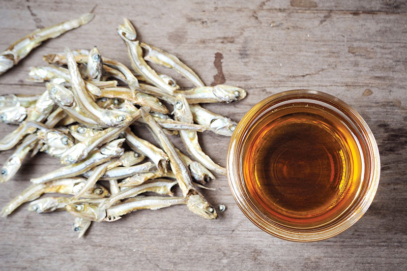 FISH SAUCE FISH SAUCE