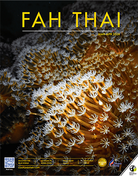 fah thai marapr2024