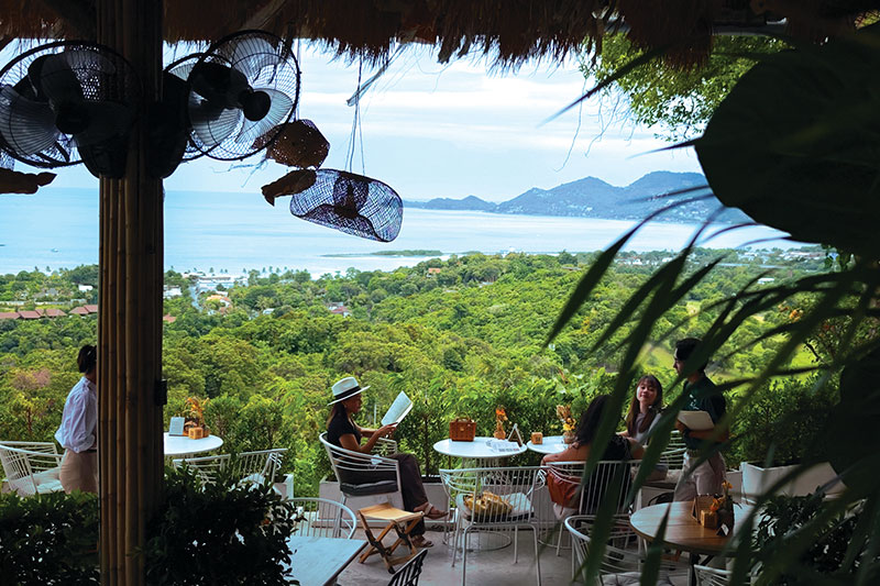 THE COCOON VIEWPOINT RESTAURANT & BAR THE COCOON VIEWPOINT RESTAURANT & BAR