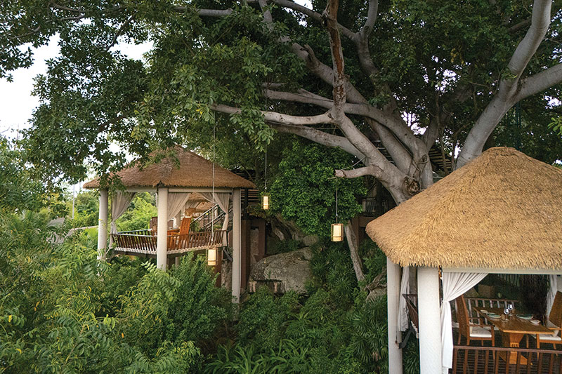 Tree Tops Signature Dining, Anantara Lawana Resort Koh Samui Tree Tops Signature Dining, Anantara Lawana Resort Koh Samui