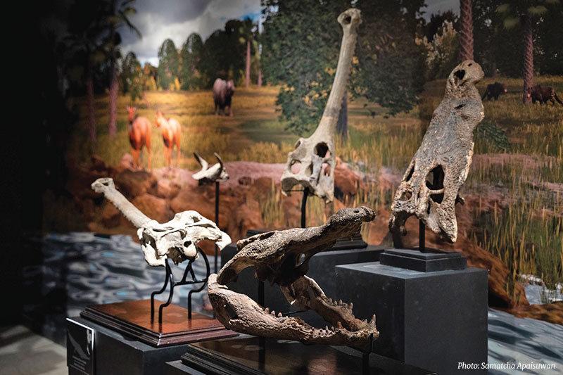 THAINOSAUR at Museum Pier, Bangkok THAINOSAUR at Museum Pier, Bangkok