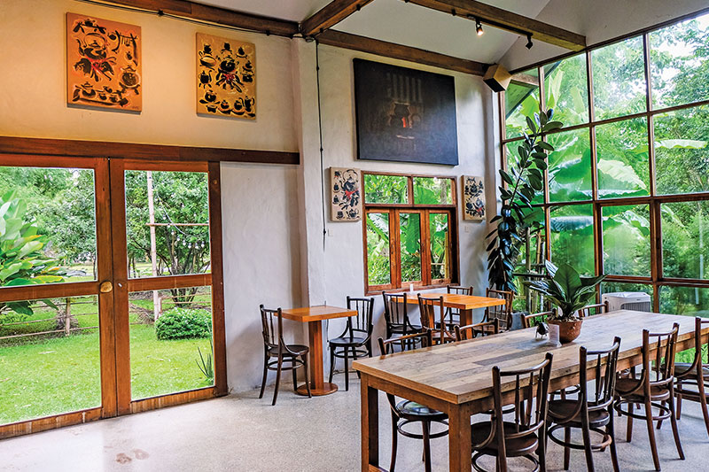 Raming Tea House — a lush green haven tucked away in the heart of Chiang Mai city