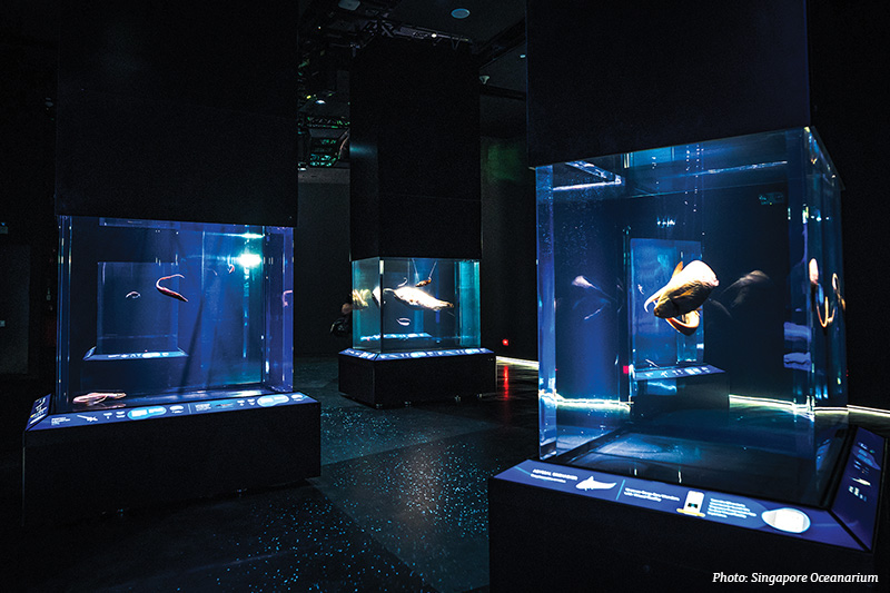 Singapore Oceanarium