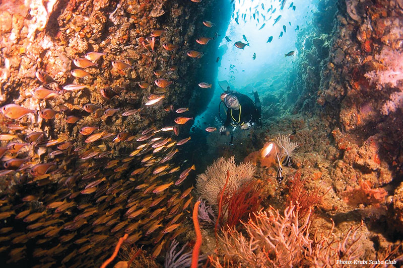 Krabi Scuba Club 
