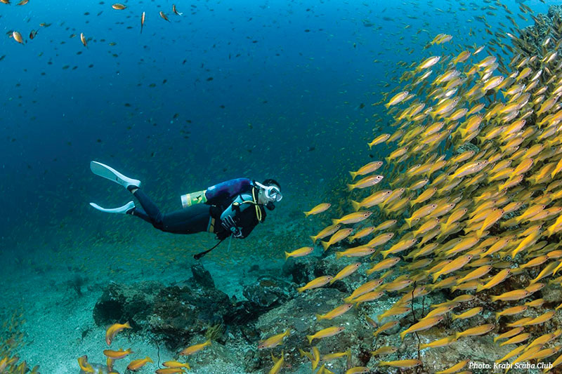 Krabi Scuba Club 