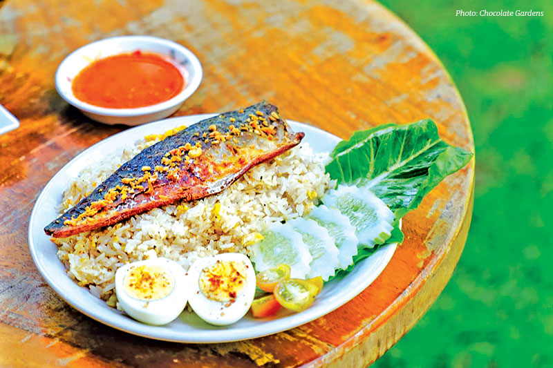 Chocolate Gardens, Siem Reap
