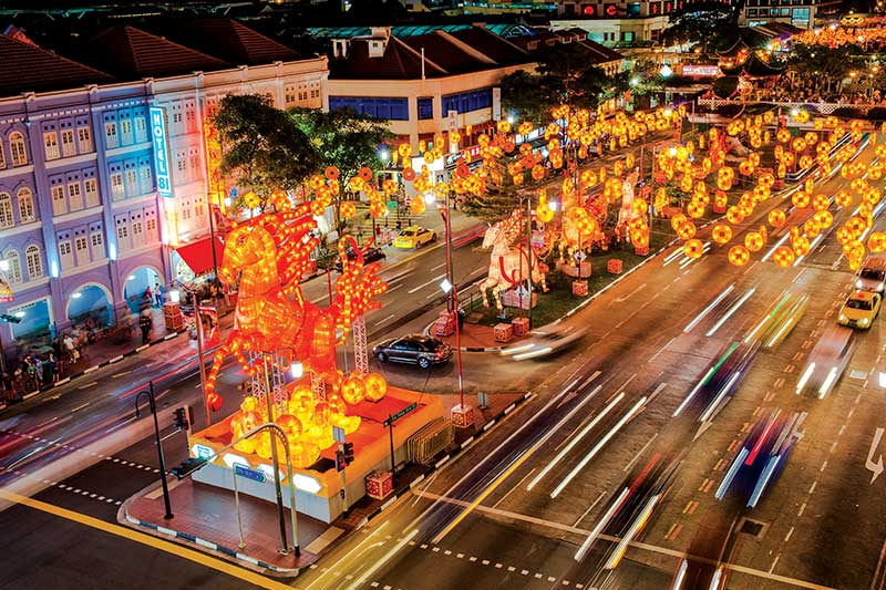 Welcoming the Year of the Horse