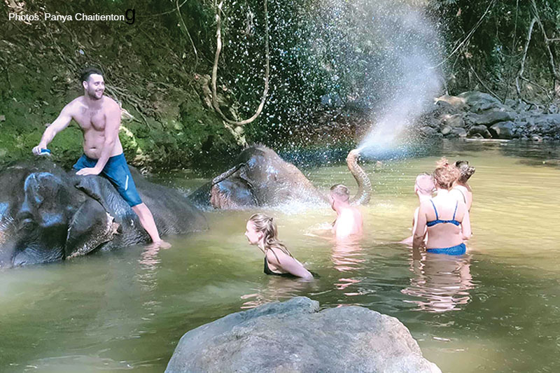 Klogn Son Elephant Camp