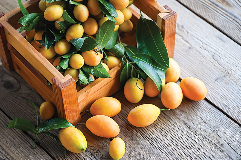 Mayongchid,
a seasonal fruit with a sweet-and- tangy flavour
