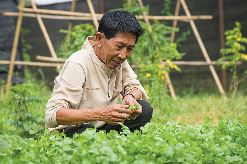 Chef Wuttisak Wuttiamporn of Khao Yai Art Forest