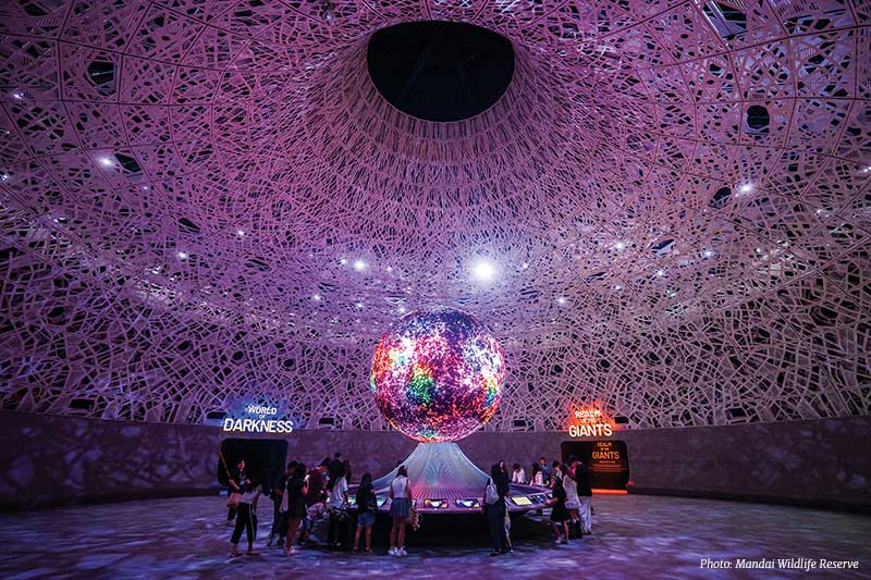 The Digital Renaissance of Art