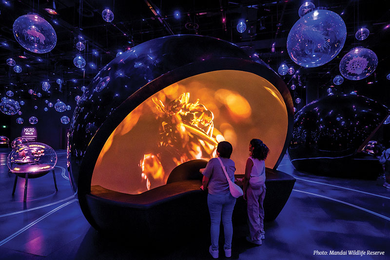 EXPLORIA AT MANDAI<br />
WILDLIFE RESERVE