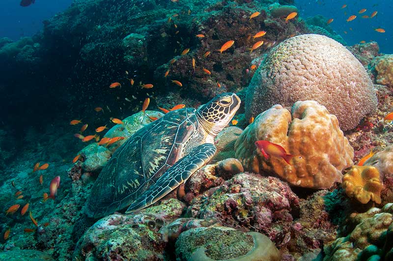Sultan Mosque stands as Kampong Glam’s spiritual heart