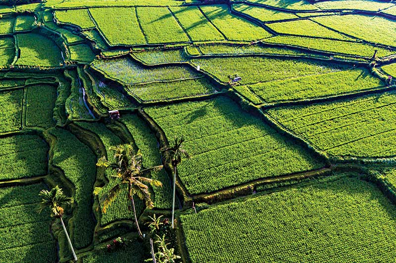 The Season that Sustains