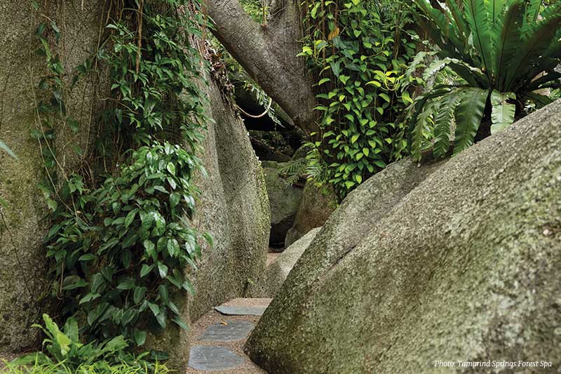 Tamarind Springs Forest Spa