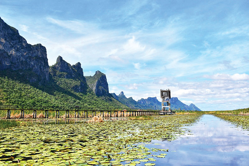 Bueng Bua Nature Education Cenre, Prachuap Khiri Khan