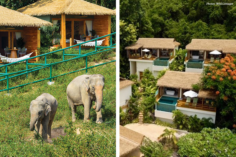 Wild Cottages Luxury & Natural Resort 