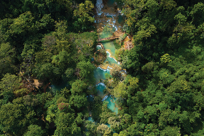 Rainforest Luang Prabang, Laos