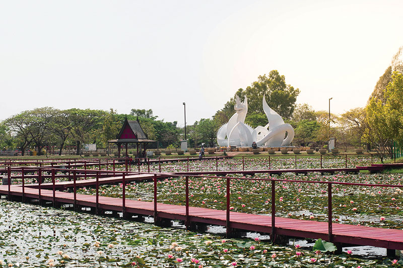 Kasetsart University Lotus and Water Lily Park, Sakon Nakhon