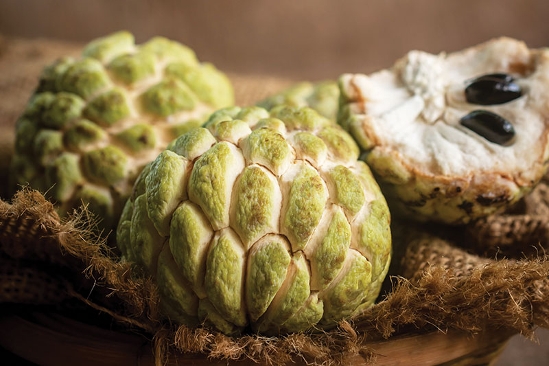 Noina or Custard Apple, Fah Thai Magazine, Inflight Magazine of Bangkok Airways