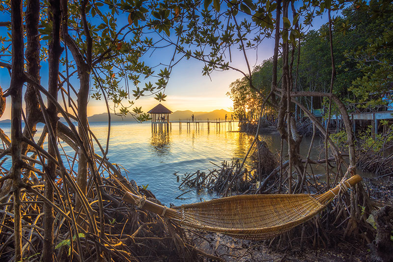 A hammock among Trat’s mangroves frames a peaceful sunrise over the Gulf of Thailand