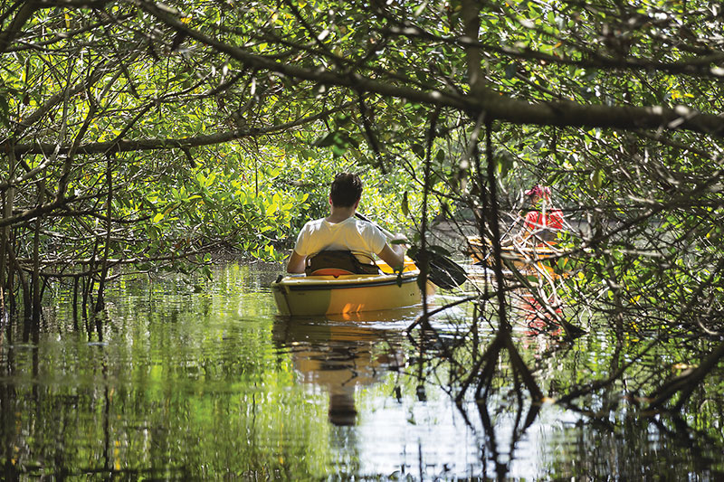 A paddle through the mangroves reveals one of Trat’s richest coastal ecosystems