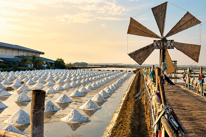 A windmill marks Yung Kluea Café overlooking the Ban Laem salt pans