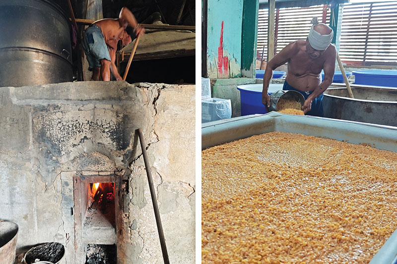 Hau Yong Seng, the last surviving soy sauce factory on Bang Luang Canal, has been using traditional brewing methods for more than 120 years<br />

