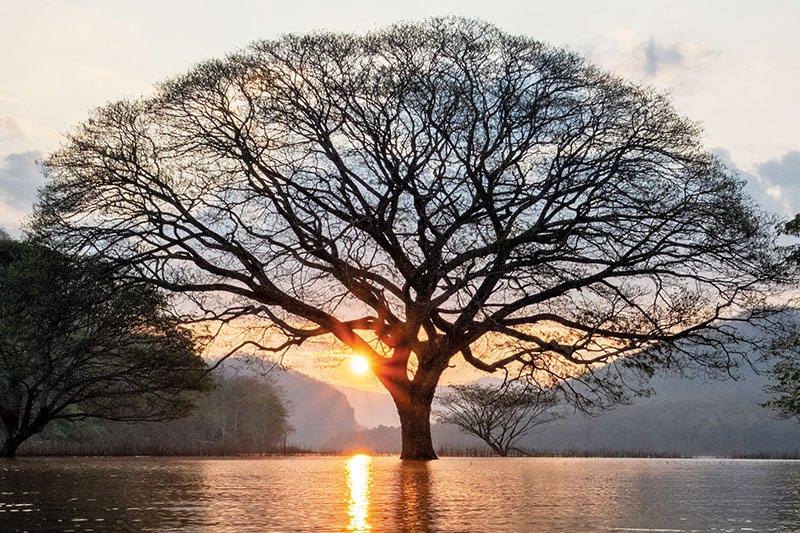 Chiang Mai, Thailand | Fah Thai Magazine, Inflight Magazine of Bangkok Airways
