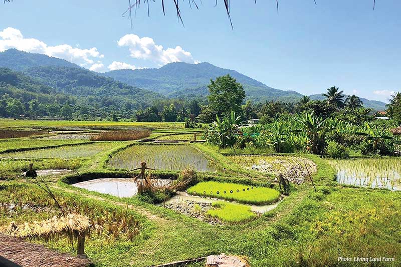 Living Land Farm Luang Prabang, Laos